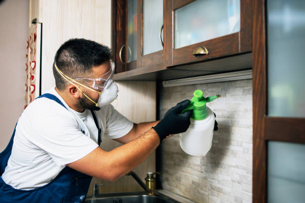 Best Affordable Pest Control Services  in Conneaut Lakeshore, PA