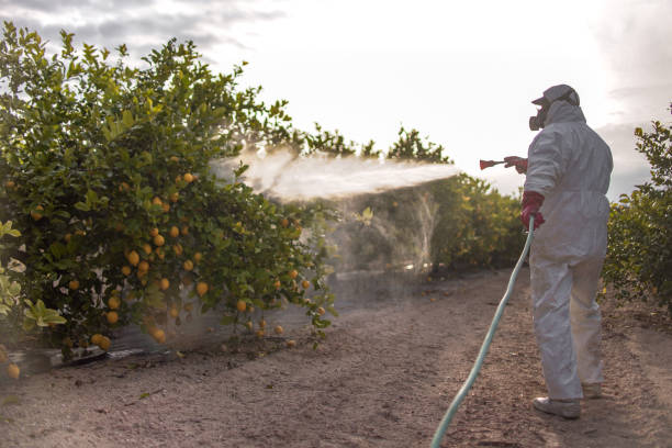 Pest Prevention Services in Conneaut Lakeshore, PA